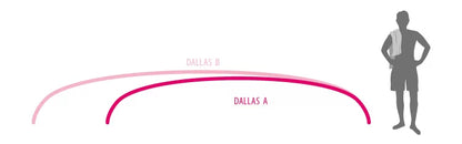 Acoperisul DALLAS