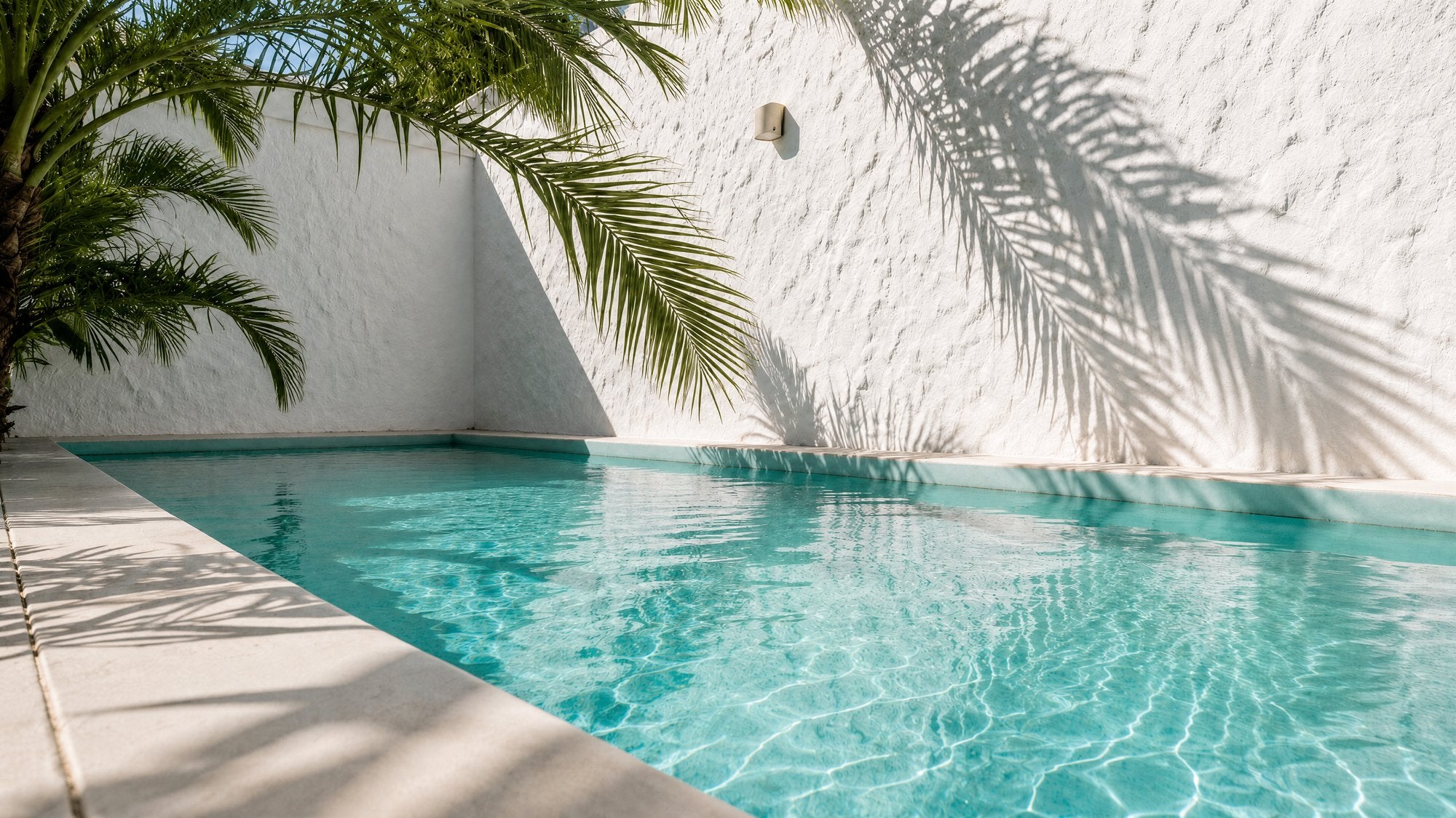 Piscină privată minimalistă cu apă cristalină și umbră de palmier pe perete alb