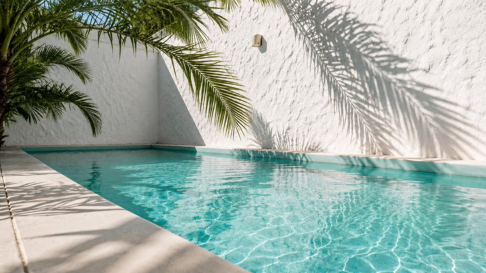Piscină privată minimalistă cu apă cristalină și umbră de palmier pe perete alb